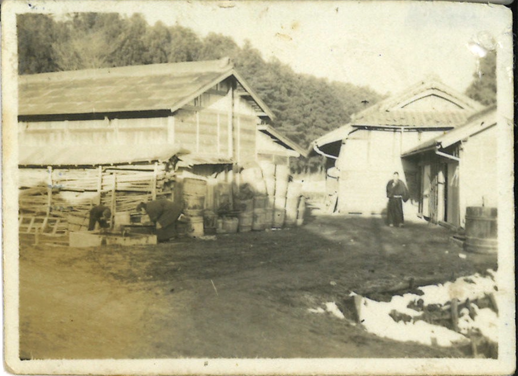 1955年頃の根本漬物の社屋風景。木造の建物と桶が並ぶ。